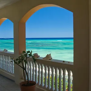 https://calypso-villa-jamaica.hotelsmontegobay.org